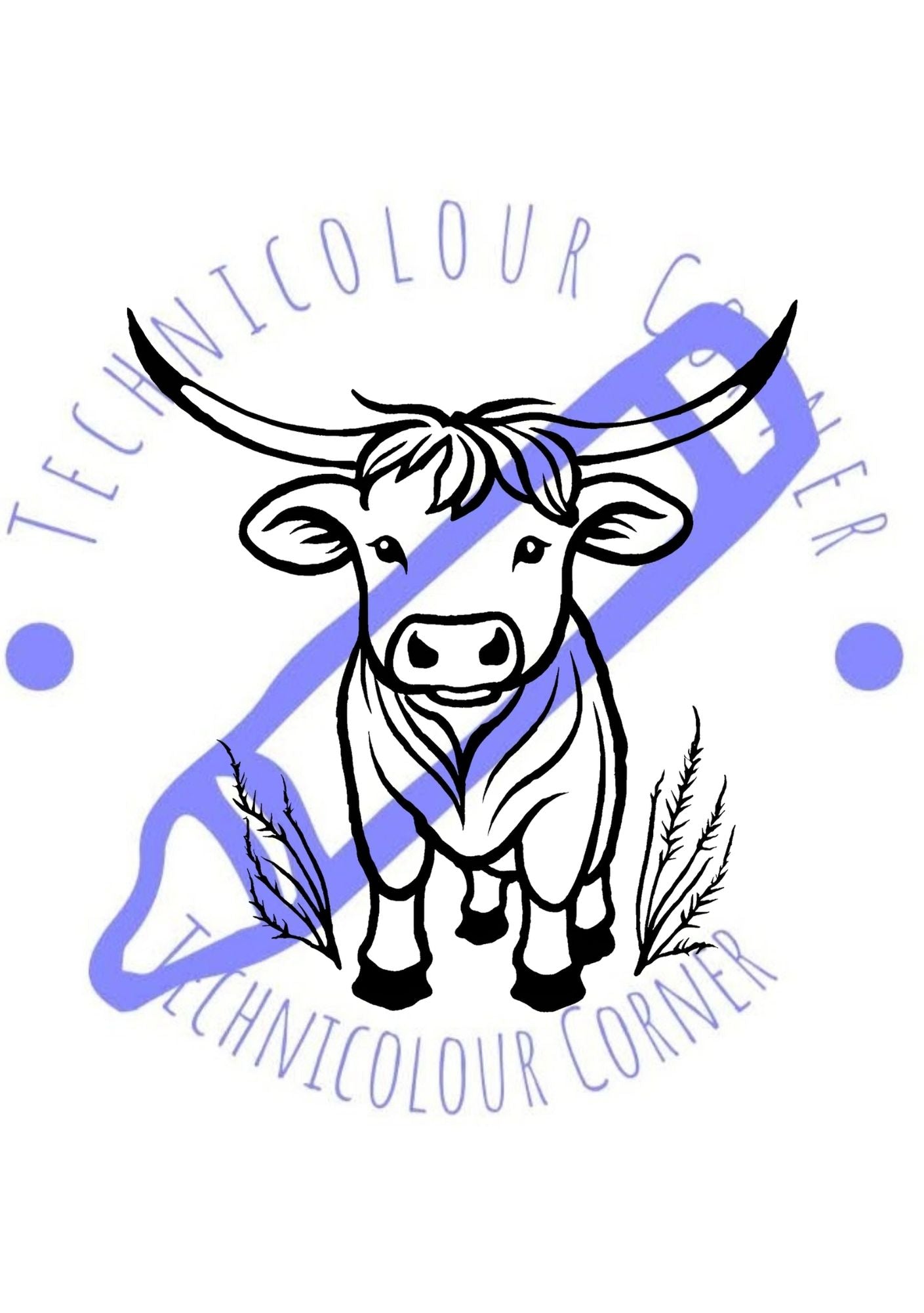 Highland Coo Colouring Book