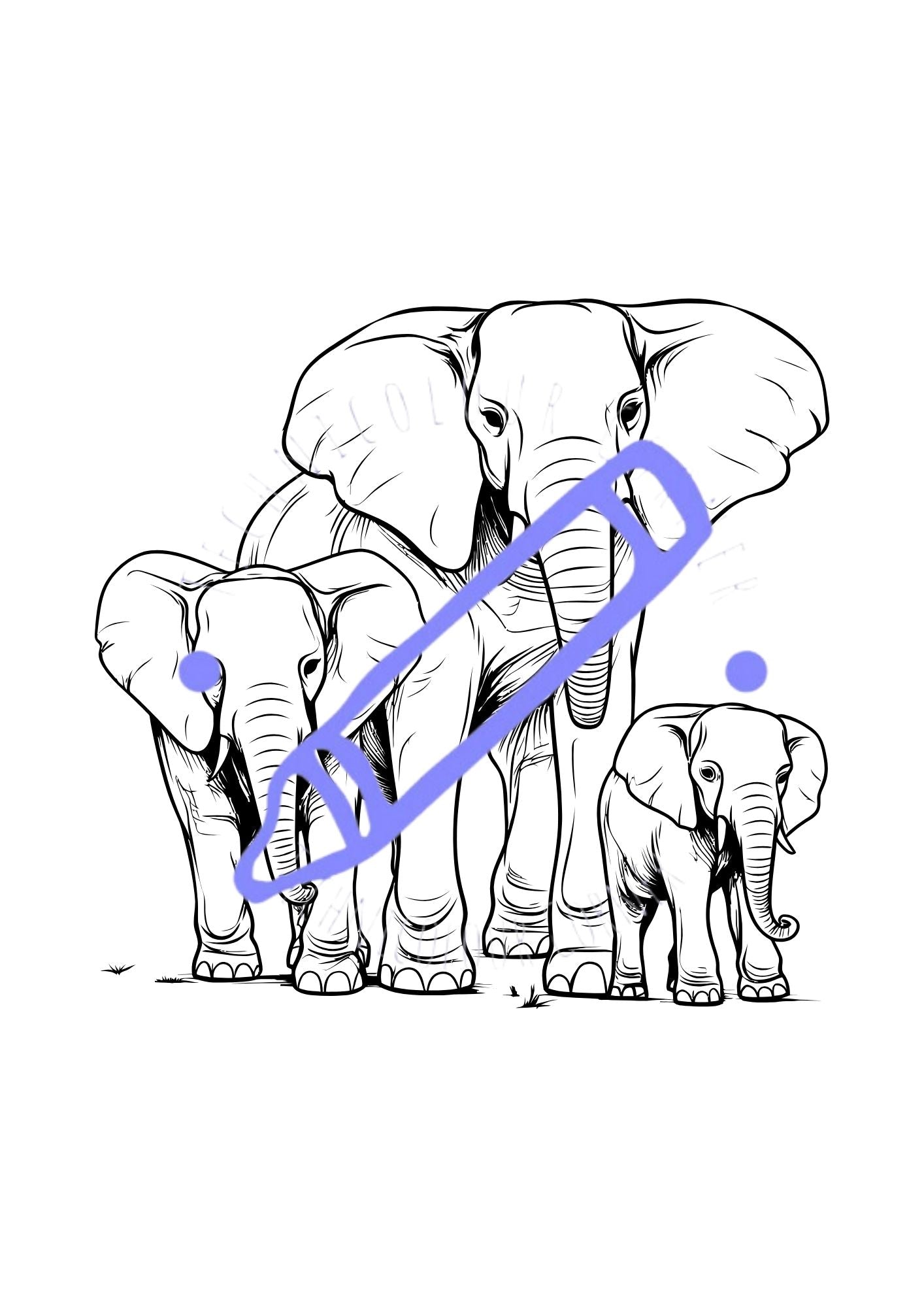 Elephant Colouring Book
