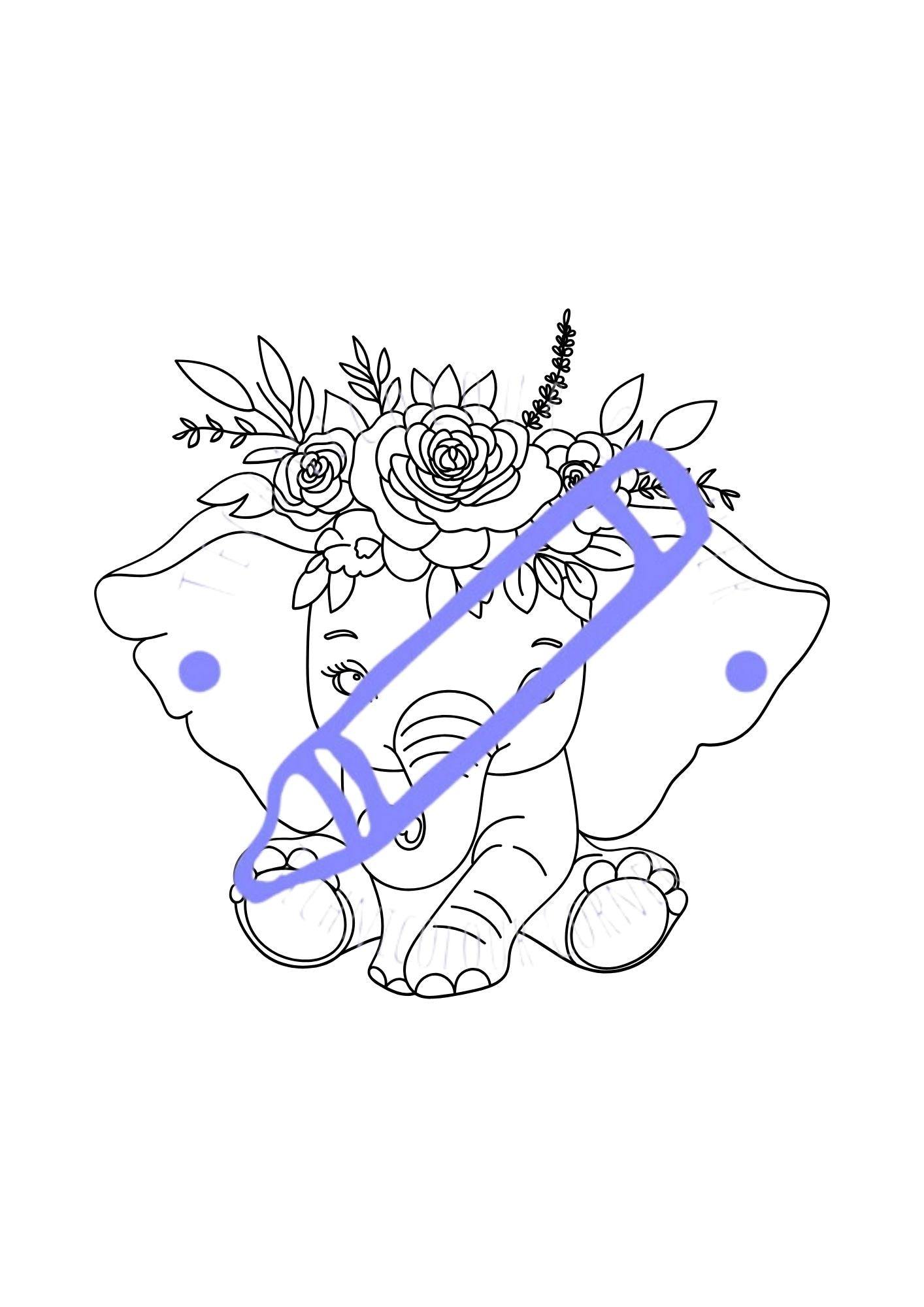 Elephant Colouring Book