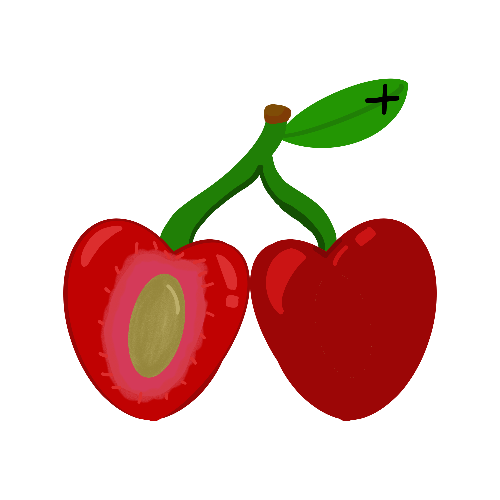 Illustration of two cherries with a green stem and leaf on a white background