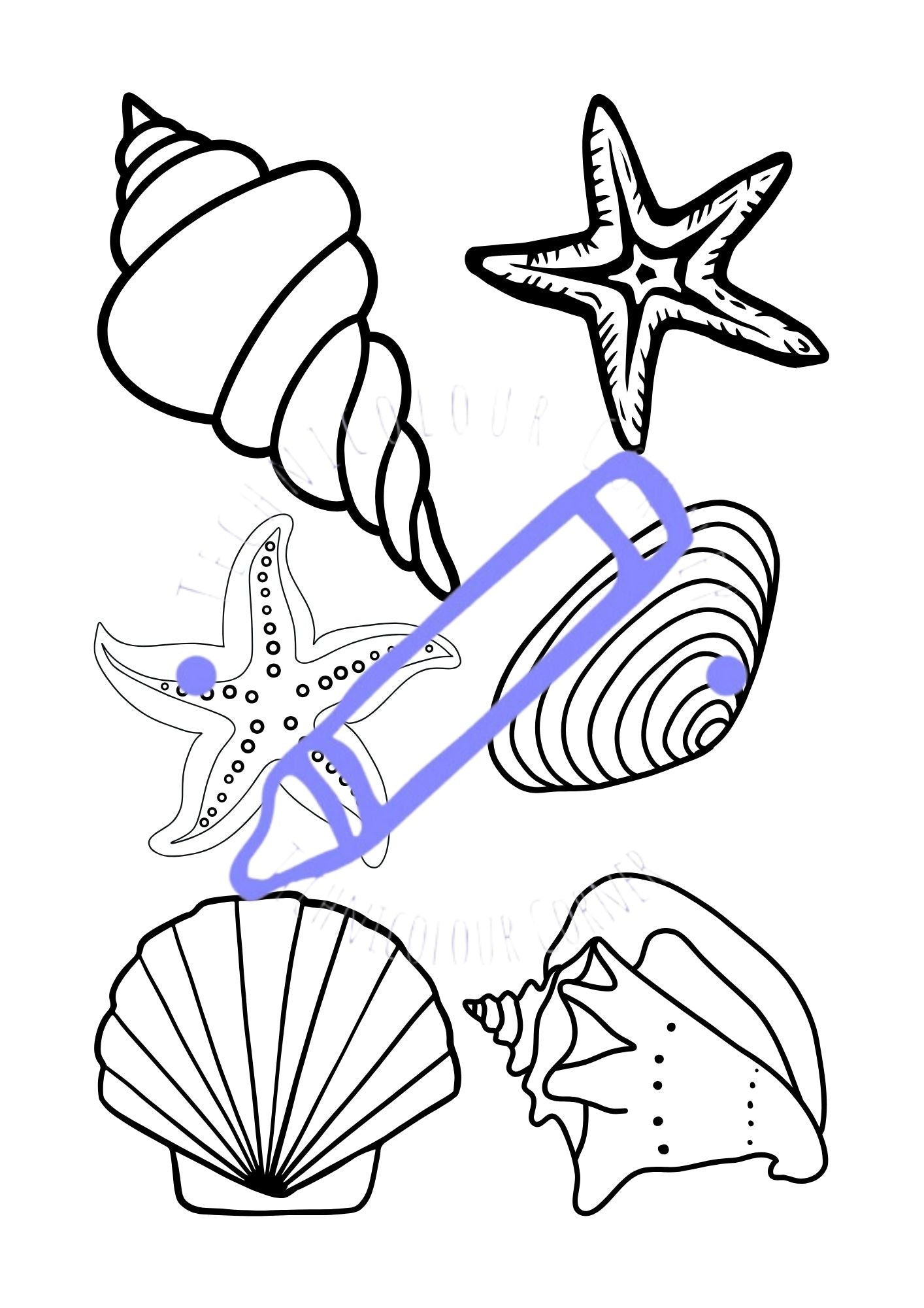 a beach themed colouring page with shells
