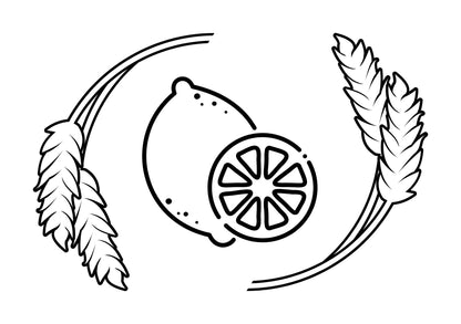 Free Instant Download Sukkot Colouring Pages