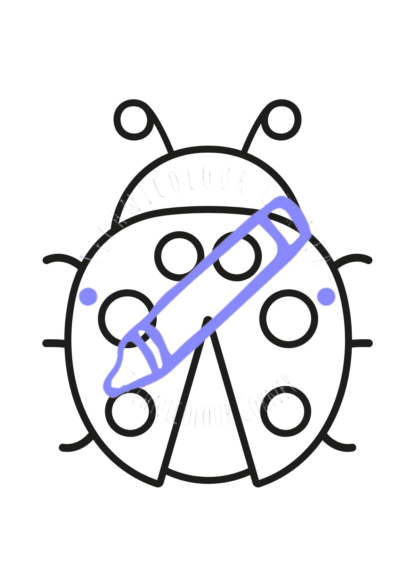Bugs Colouring Book
