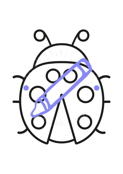 Bugs Colouring Book