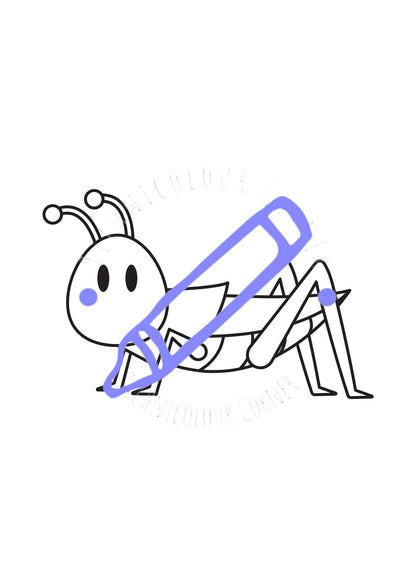 Bugs Colouring Book