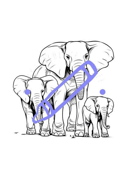 Elephant Colouring Book