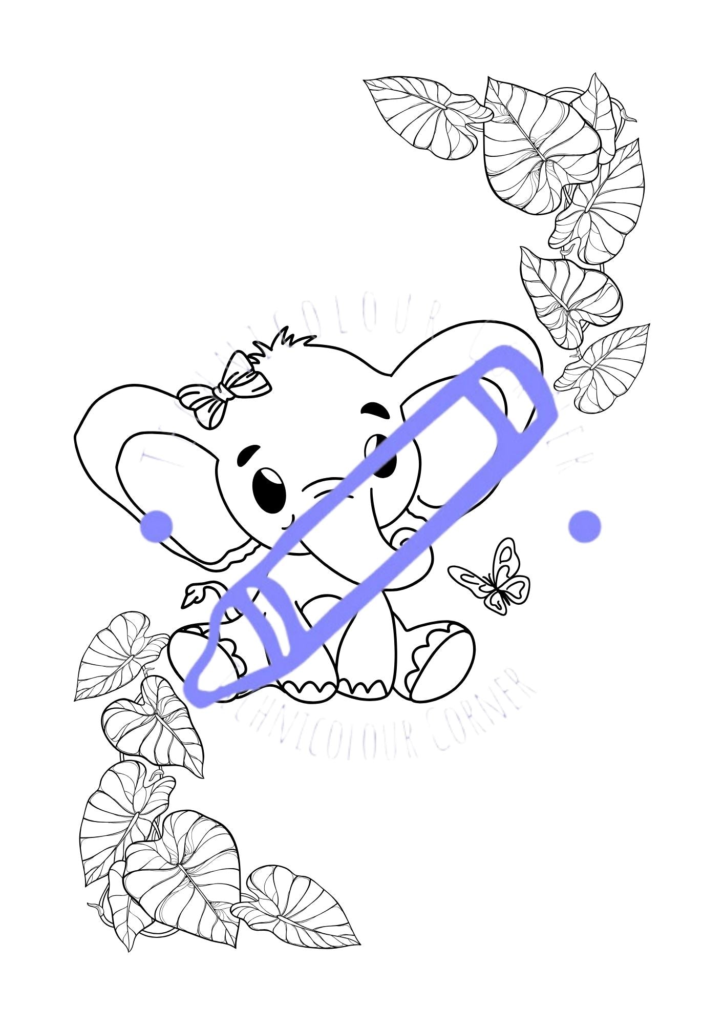 Elephant Colouring Book