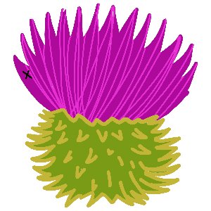 Illustration of a thistle with purple flower and green stem gift tag