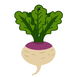 Illustration of a turnip with green leaves gift tag