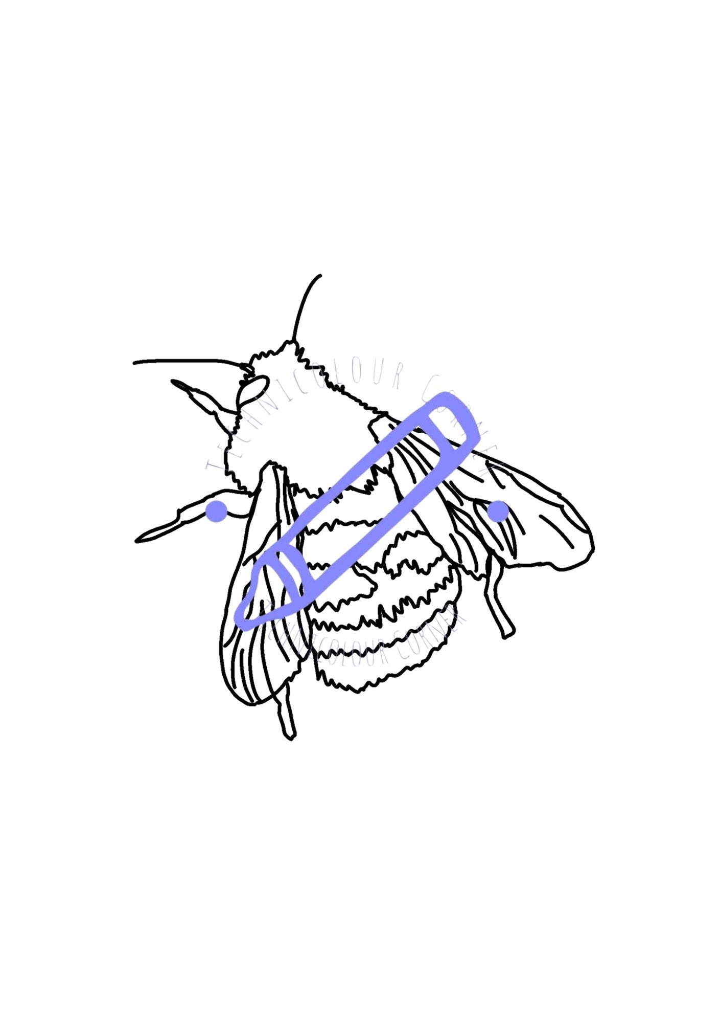 hand drawn colouring page of a bee