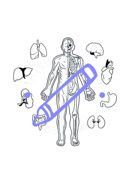 different organs around the body colouring page