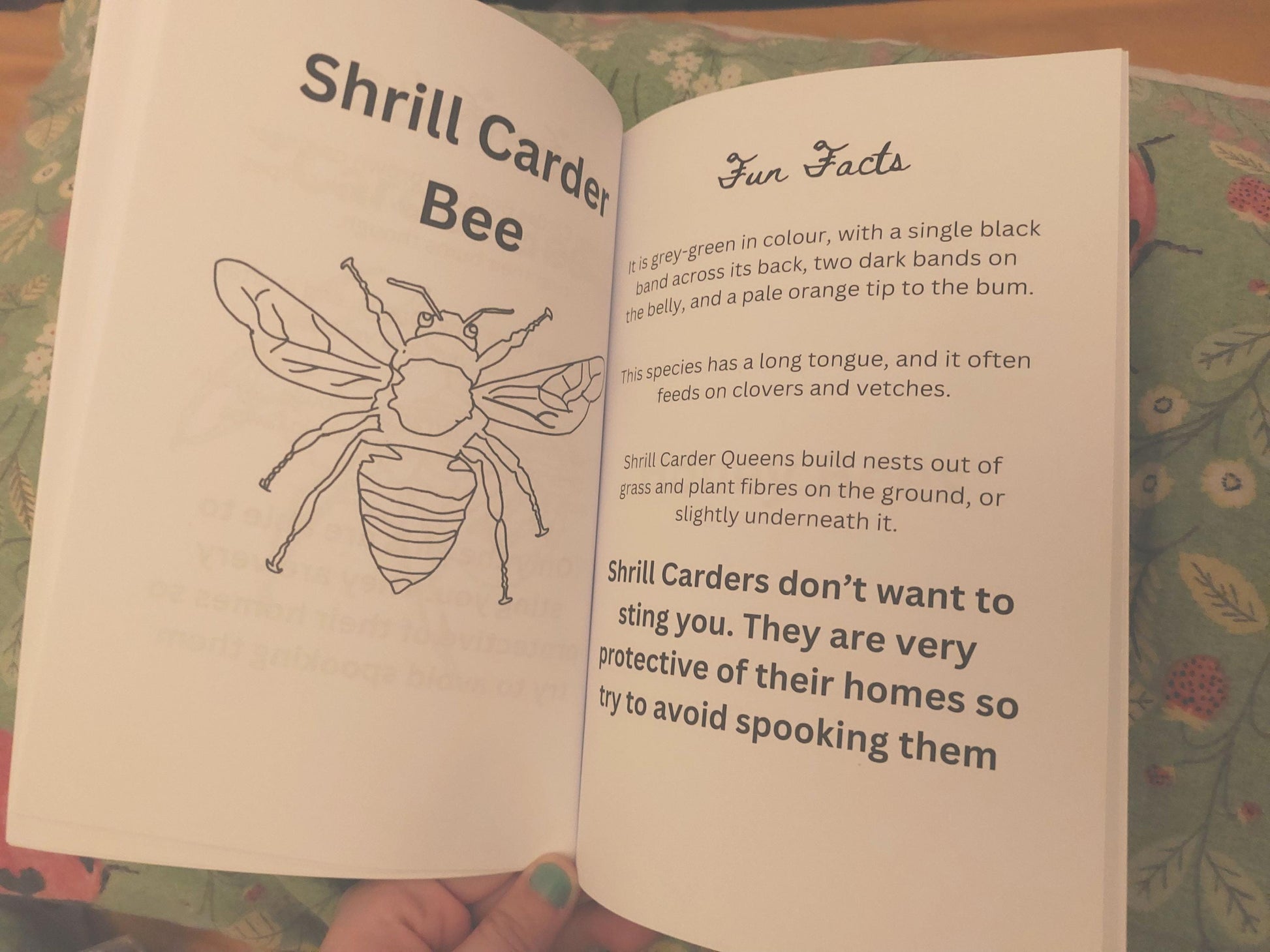 colouring book with shrill carder bee colouring page with more information 