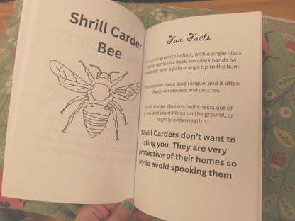 colouring book with shrill carder bee colouring page with more information 