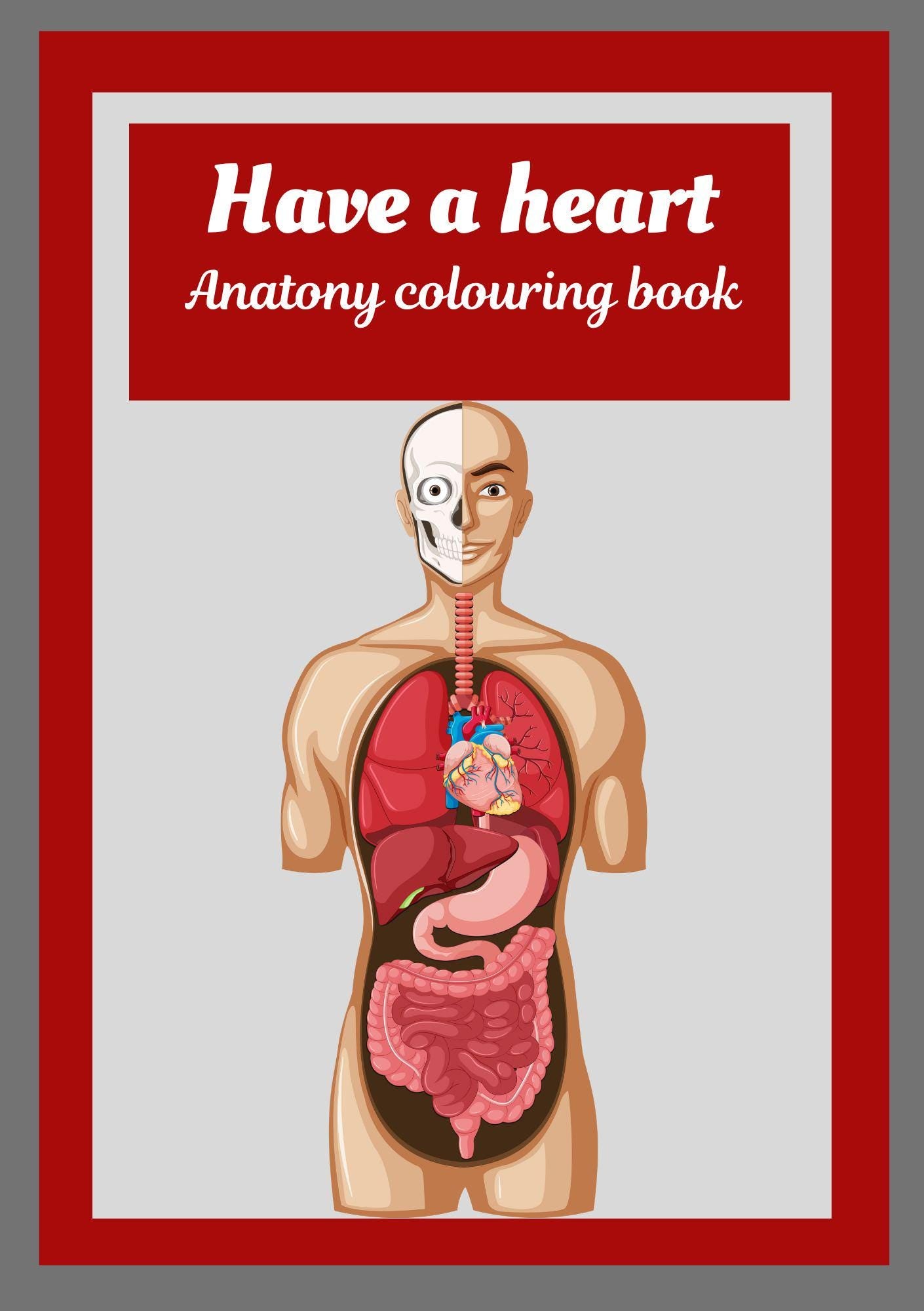 Cover of 'Have a heart - Anatomy colouring book' featuring an illustration of the human body with focus on the cardiovascular system.
