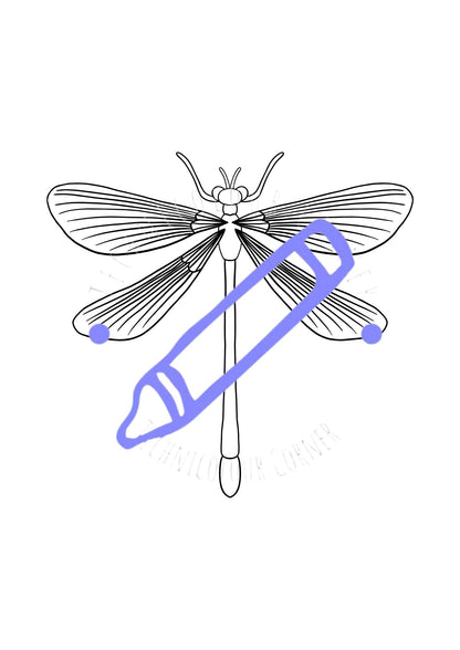 a single damsel fly colouring page