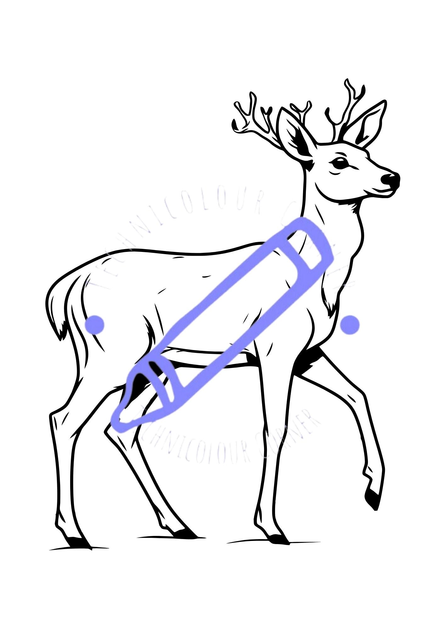 colouring page of a deer