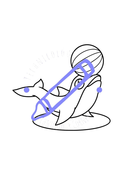 a dolphin with a ball on its nose as a colouring page