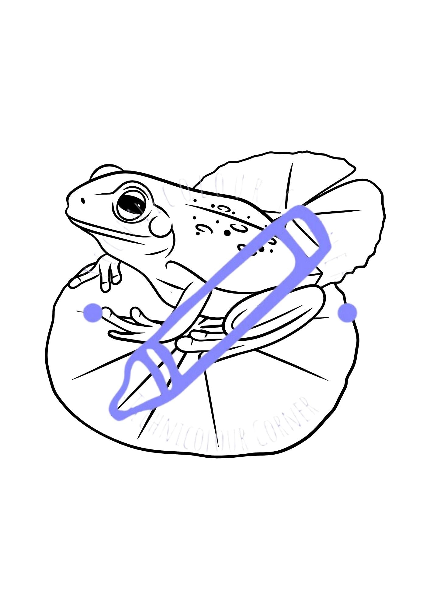 a frog on a lilly pad colouring page