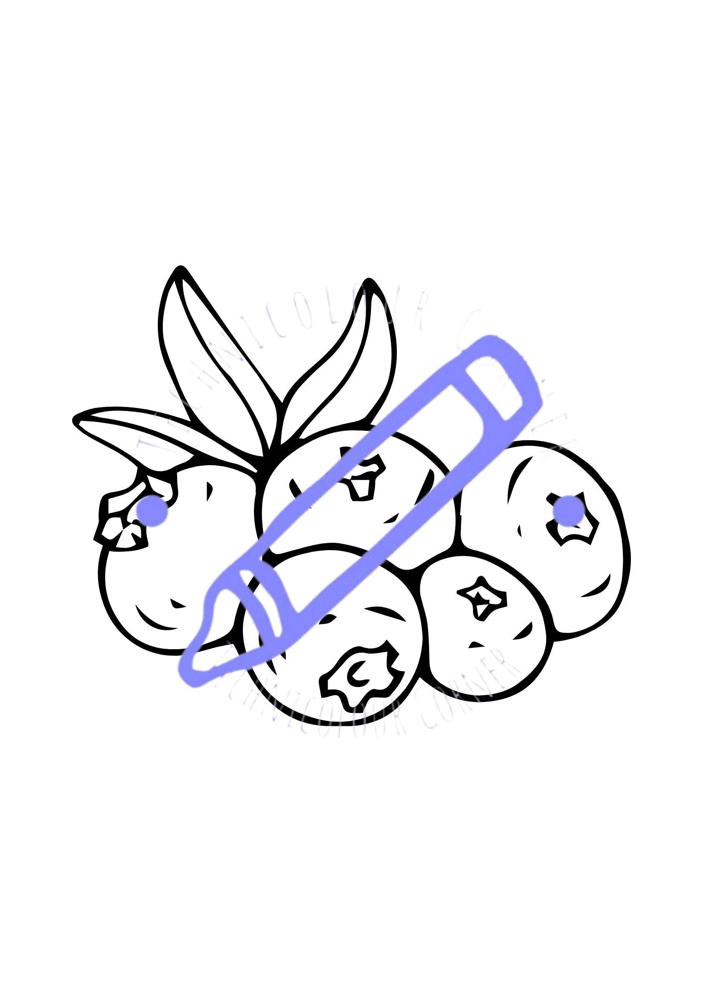 a colouring page of berries
