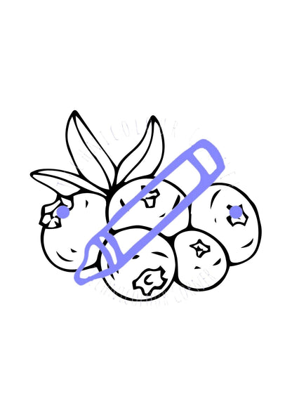a colouring page of berries