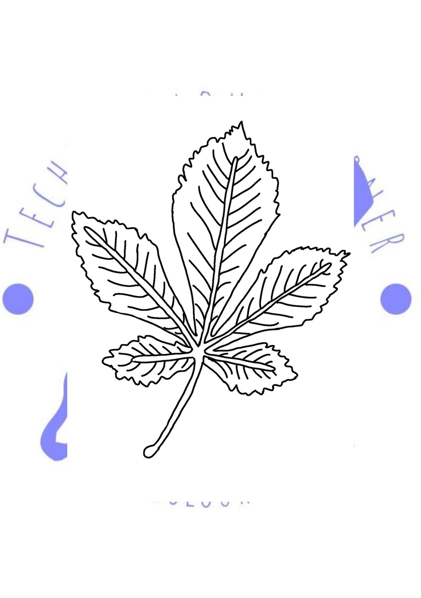 a hand drawn colouring page of a leaf