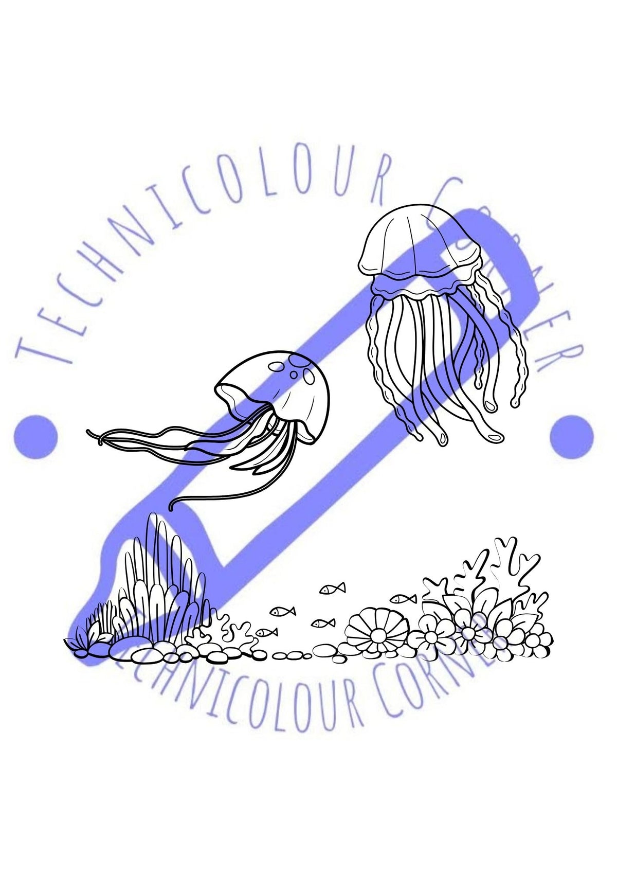 jellyfish colouring page