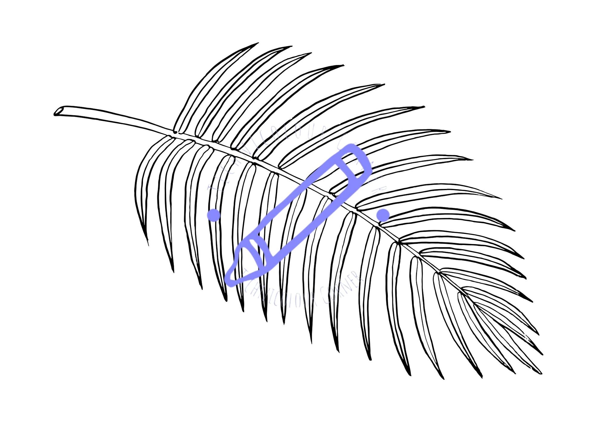 line art of black and white palm leaf