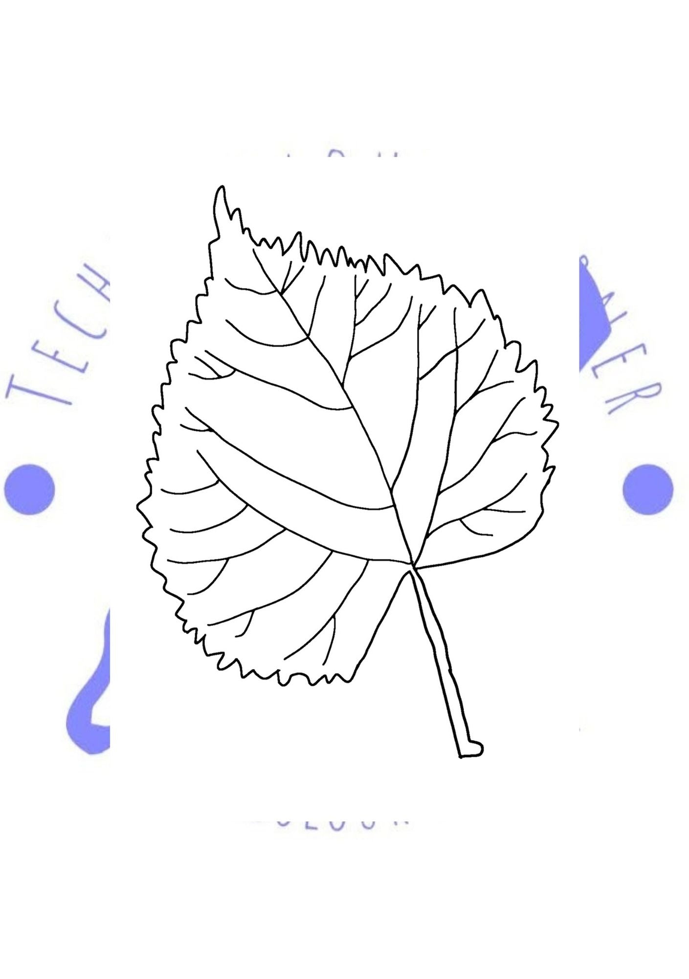 rounded leaf colouring page