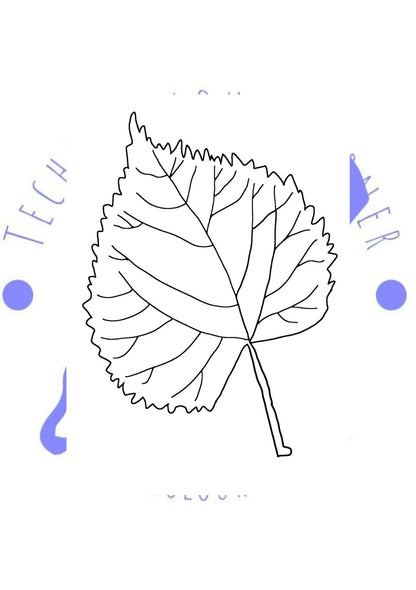 rounded leaf colouring page