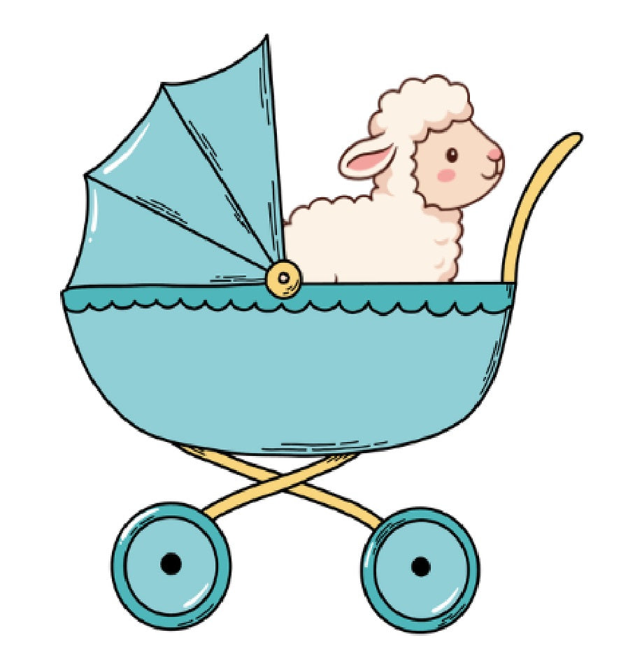 Cartoon lamb in a blue baby stroller on a white background