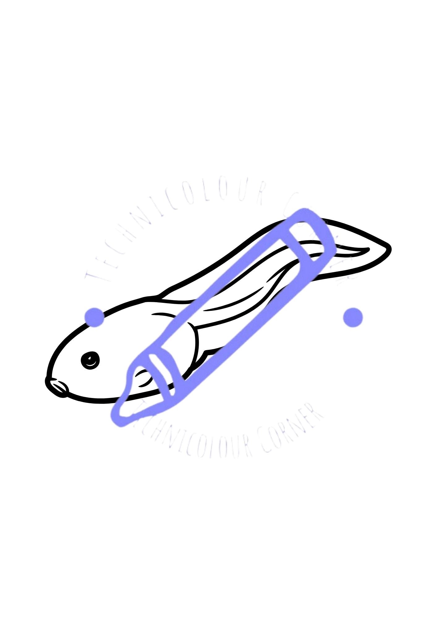 a tadpole colouring page