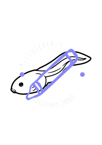 a tadpole colouring page