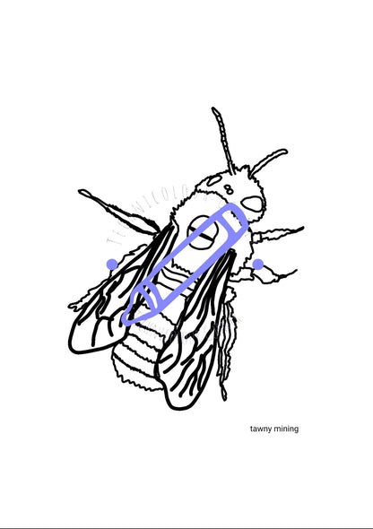 tawny mining bee colouring page